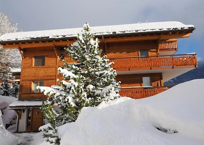 Penthouse Guimauve 312 *